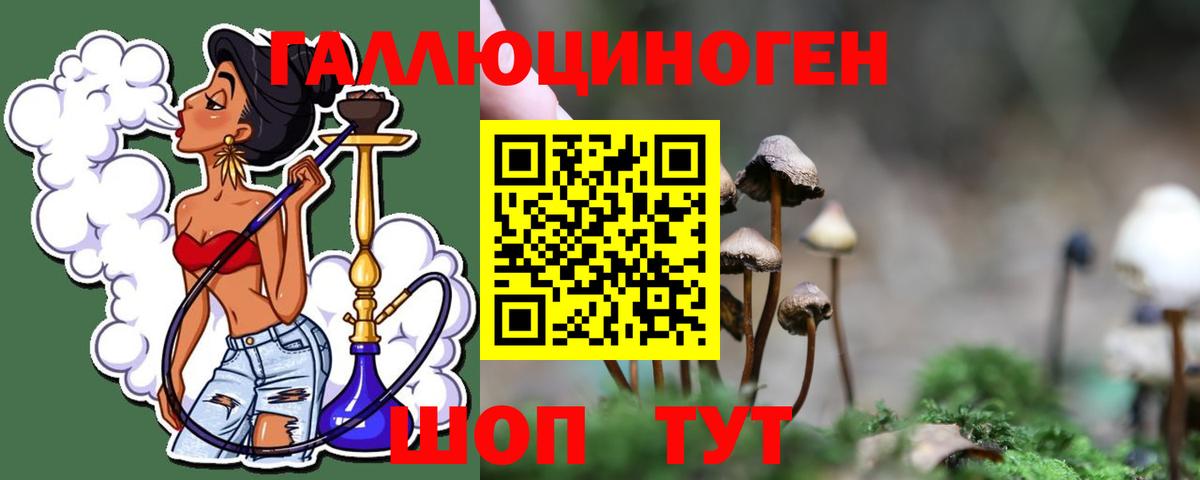 Галлюциногенные грибы Cubensis Джанкой